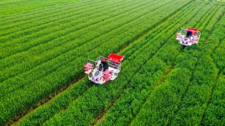 (miniature) Des agriculteurs travaillent dans un champ à l'aide de machines agricoles dans un village de la ville de Huzhou