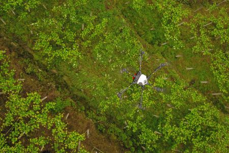 (miniature) Un drone de protection des plantes au-dessus d'une plantation de raisins