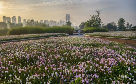 (miniature) Des habitants font des exercices matinaux dans un parc de zones humides près de la rivière Hanjiang