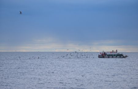 (miniature) Des touristes prennent un bateau sur le lac Hulun Nur à Hulunbuir