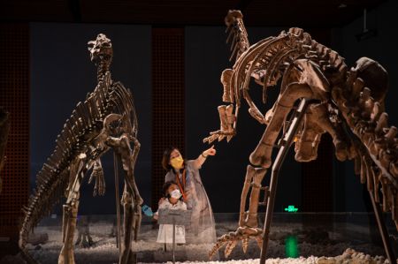 (miniature) Des gens regardent des fossiles de dinosaures au Musée de Nanjing