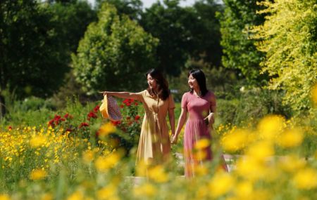 (miniature) Des touristes visitent un projet de parc écologique qui présente le paysage écologique le long de la rivière Laozhang