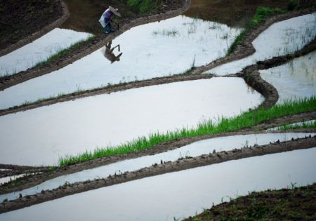 (miniature) Un agriculteur travaille dans un champ dans le village de Bandahu du bourg de Shadaogou