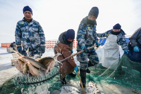 (miniature) Des employés attrapent des poissons dans une pêcherie du lac Dalinor
