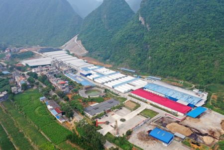 (miniature) Une base de plantation de champignons dans le district de Donglan de la r&eacute;gion autonome Zhuang du Guangxi