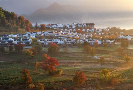 (miniature) Photo aérienne du paysage automnal d'un village du bourg de Hongcun