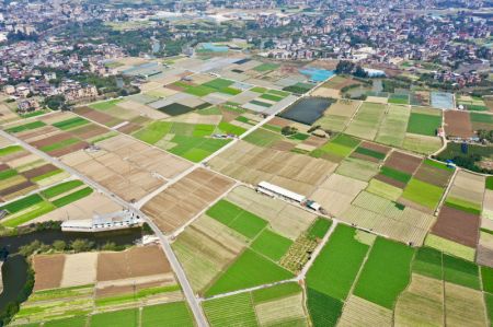 (miniature) Vue a&eacute;rienne d'une base de plantation de l&eacute;gumes dans le bourg de Nantong