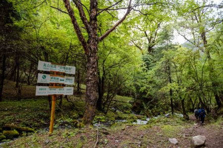 (miniature) Des randonneurs se promènent le long d'une route dans le parc national de Potatso