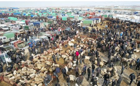 (miniature) Photo aérienne de personnes sélectionnant des bovins et des moutons sur un marché de produits agricoles du district de Yining