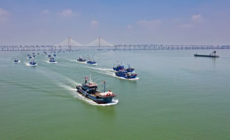 (miniature) Photo a&eacute;rienne de bateaux de p&ecirc;che dans la baie de Quanzhou