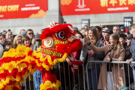 (miniature) Des personnes interagissent avec des danseurs de lion à Trafalgar Square pour célébrer le Nouvel An lunaire chinois à Londres