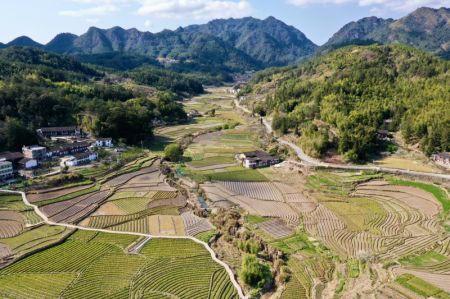 (miniature) Vue a&eacute;rienne de terres agricoles dans le bourg de Baiyun