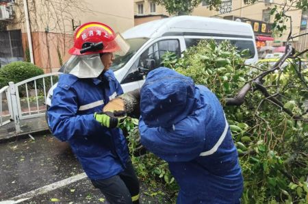 (miniature) Des pompiers enlèvent un arbre tombé dans une rue de Shanghai