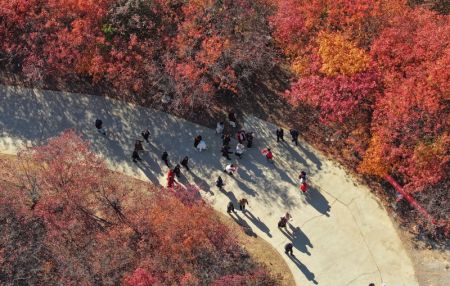 (miniature) Des touristes visitent le site touristique de Honghuayu