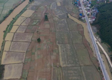 (miniature) Photo aérienne prise le 9 juillet montrant des champs sinistrés dans le bourg de Xiangshuitan