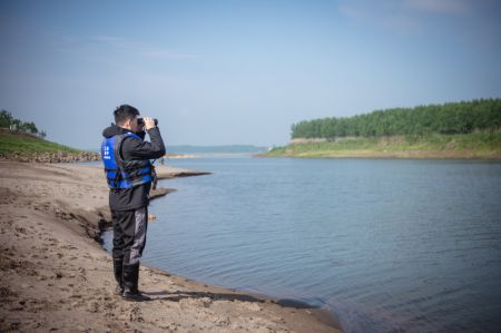 (miniature) Un employé surveille l'état des marsouins aptères du Yangtsé relâchés sur la rive du fleuve Yangtsé