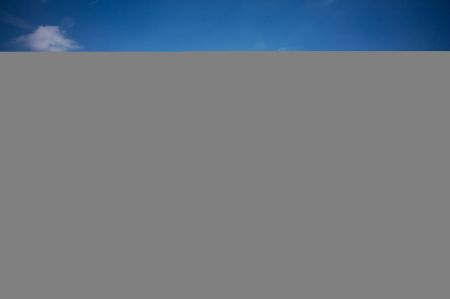 (miniature) Un employ&eacute; d&eacute;guis&eacute; en panda accueille les pandas g&eacute;ants &agrave; l'a&eacute;roport international Taizhou de Yangzhou