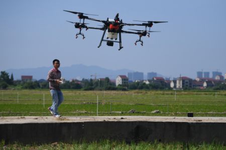 (miniature) Un agriculteur utilise un drone pour pulvériser des pesticides dans une rizière du village de Mixiang à Yiyang