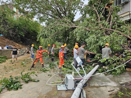 (miniature) Des pompiers déblaient des branches tombées devant un bâtiment résidentiel à Quanzhou