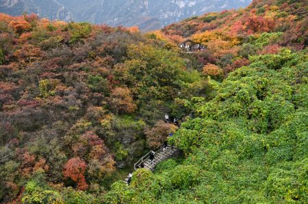 (miniature) Des gens admirent le paysage automnal dans la zone touristique de Pofengling