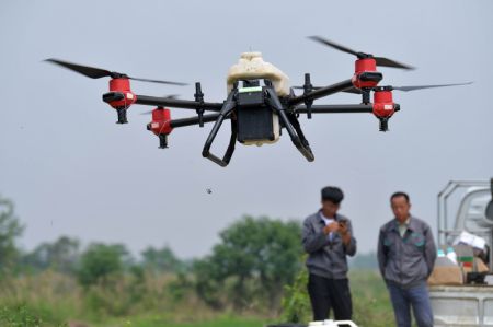 (miniature) Des agriculteurs utilisent un drone pour pulvériser des pesticides sur une rizière dans le district de Nanchang