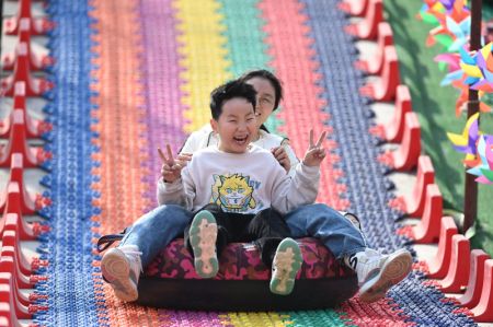 (miniature) Des personnes s'amusent dans un parc d'attractions de la ville de Tengzhou