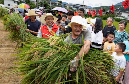 (miniature) Des villageois portent du riz récolté dans le village de Xinglong