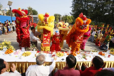 (miniature) PHOTOS. La danse du Lion à travers le monde