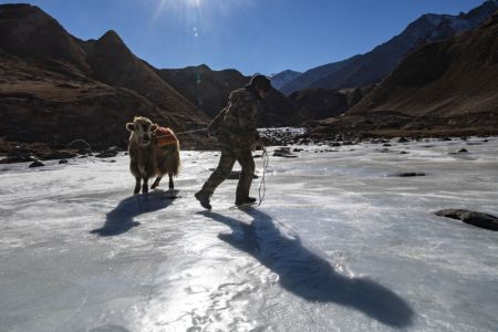 (miniature) Un membre d'une équipe tire un yak sur une rivière gelée au cours d'une patrouille frontalière dans la région autonome ouïghoure du Xinjiang (nord-ouest de la Chine)