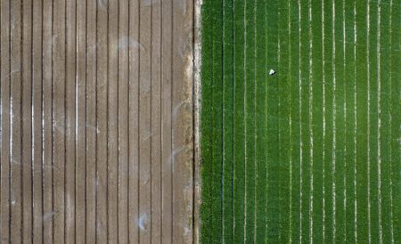 (miniature) Photo prise par un drone d'une exploitation maraîchère dans le bourg de Qujing à Qingtongxia