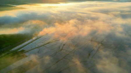 (miniature) Photo prise par un drone le 3 juin 2024 montrant le brouillard au-dessus des rizières à Hailin