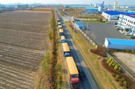 (miniature) Des camions chargés de grains font la queue pour entrer dans une entreprise de stockage et de traitement de grains dans la ville de Fujin