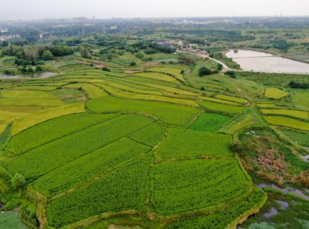 (miniature) Une photo aérienne prise le 25 août 2020 montre le paysage dans le bourg de Huaidian dans le district de Guangshan