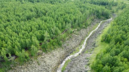 (miniature) Photo aérienne du paysage du parc national forestier d'Arxan