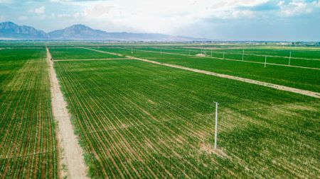 (miniature) Photo a&eacute;rienne du paysage de l'arrondissement de Linhe