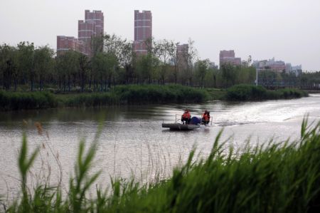 (miniature) Paysage du Grand Canal