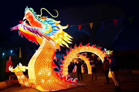 (miniature) Des gens visitent un spectacle de lanternes pour célébrer la prochaine fête du Printemps à Liaocheng