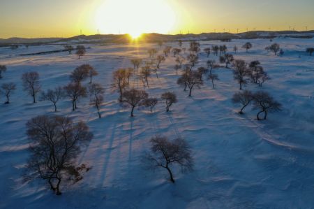 (miniature) Paysage hivernal de la prairie de Yudaokou