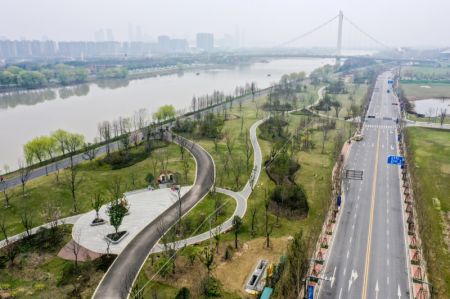 (miniature) Photo a&eacute;rienne d'un parc &eacute;cologique sur l'&icirc;lot de Jiangxinzhou du fleuve Yangts&eacute;