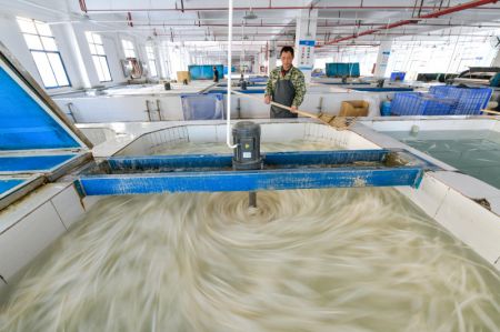 (miniature) Un ouvrier lave des plumes dans une entreprise de fabrication de volants de badminton du district de Jinping
