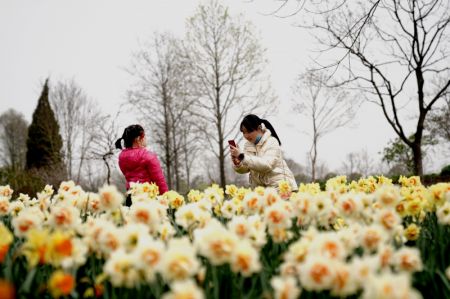 (miniature) Deux visiteuses prennent des photos dans le Jardin botanique de Chenshan