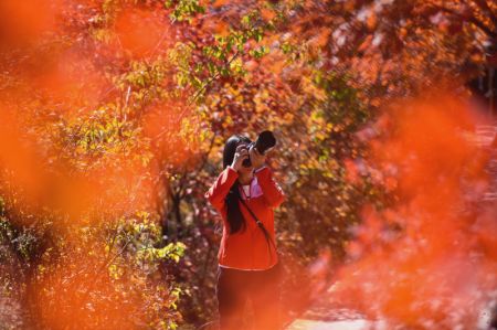 (miniature) Un touriste prend des photos dans un canyon des monts Taihang du district de Shexian