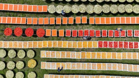 (miniature) Photo aérienne de villageois faisant sécher des produits agricoles dans le village de Lutian dans le district de Tonggu