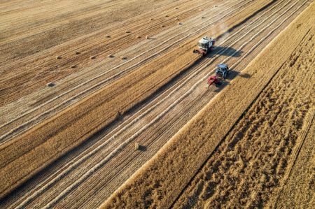 (miniature) Photo prise par un drone de moissonneuses dans un champ de blé du village de Cuilou