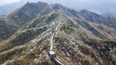 (miniature) La section de Mutianyu de la Grande Muraille de Chine