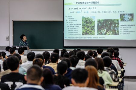 (miniature) Une enseignante donne un cours sur le café à la faculté des cultures tropicales de l'Université agricole du Yunnan