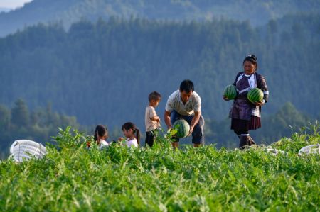 (miniature) Des villageois transportent des pastèques dans le bourg de Zhongcheng