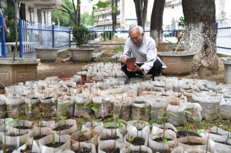 (miniature) Lyu Chaojin vérifie l'état des plantes de litchi nouvellement cultivées dans une zone de démonstration pour les races fines dans le bourg de Zhangmu