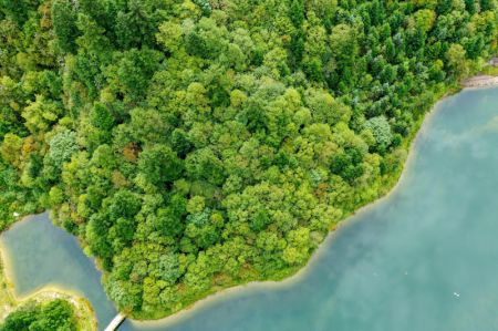 (miniature) Le parc forestier national de Guan'egou