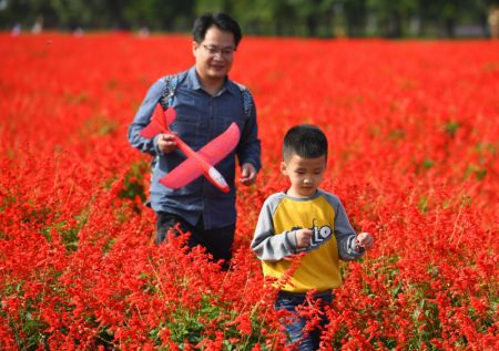 (miniature) Des touristes visitent un manoir à Beijing